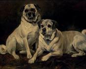 Pugs - 约翰·伊姆斯